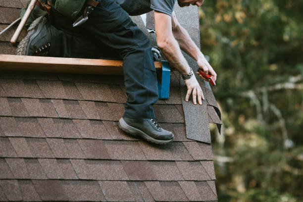 Best Storm Damage Roof Repair  in Honaker, VA