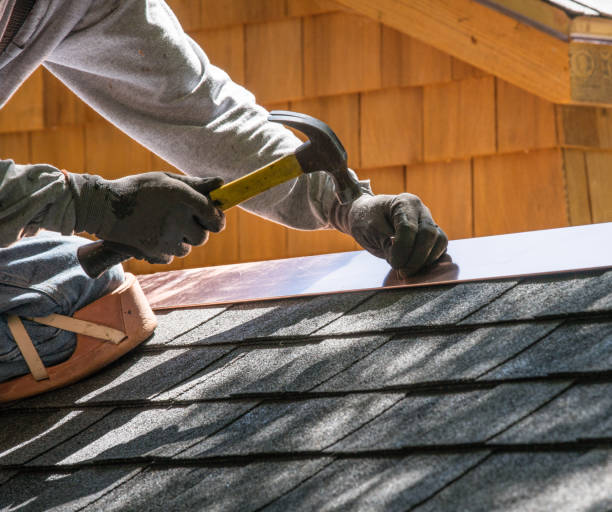 Best Roof Gutter Cleaning  in Honaker, VA